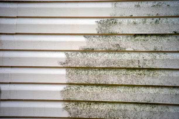 Best Fiber Cement Siding Installation  in Lake Hopatcong, NJ